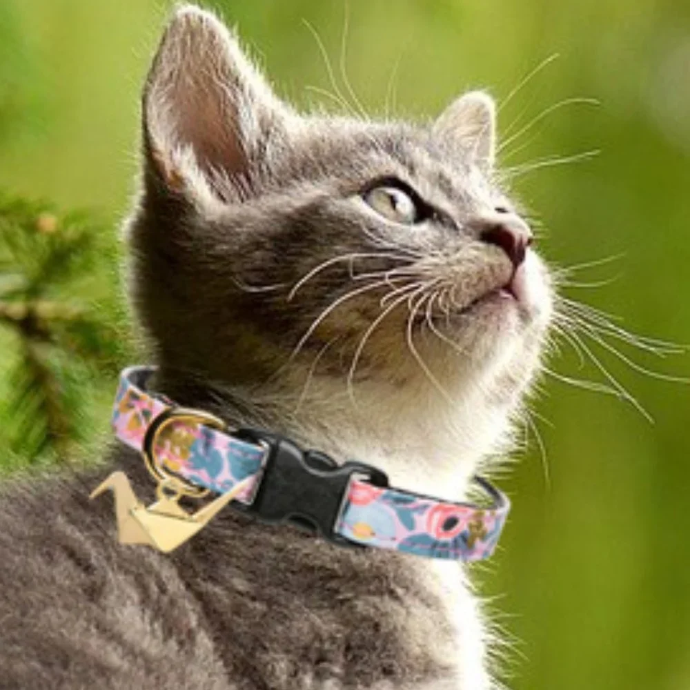 The Floral Flyer Cat and Small Dog Pet Collar